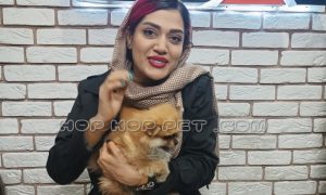 رضایت مشتری خانم کاظمی از خرید پامرانین پرتقالی