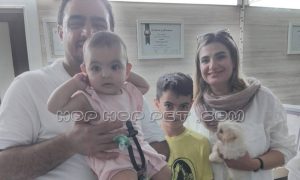 رضایت خانواده از خرید توله پیکینیز وانیلی یک ماهه