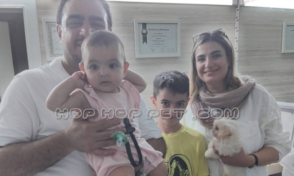 رضایت خانواده از خرید توله پیکینیز وانیلی یک ماهه