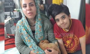 رضایت خانواده از خرید توله پیکینیز ۴۵ روزه نسکافه ای