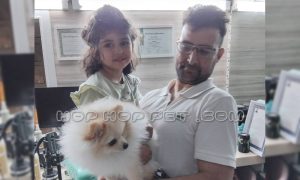 رضایت آقای کورانی از کرمانشاه از خرید سگ پامرانین روباهی نر سفید