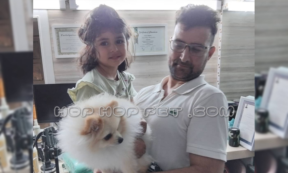 رضایت آقای کورانی از کرمانشاه از خرید سگ پامرانین روباهی نر سفید