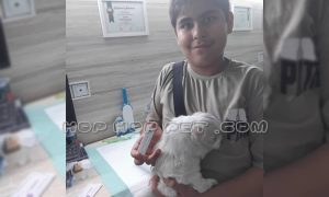 رضایت آقای حمیدی از خرید توله سگ مالتیپو نر شیری