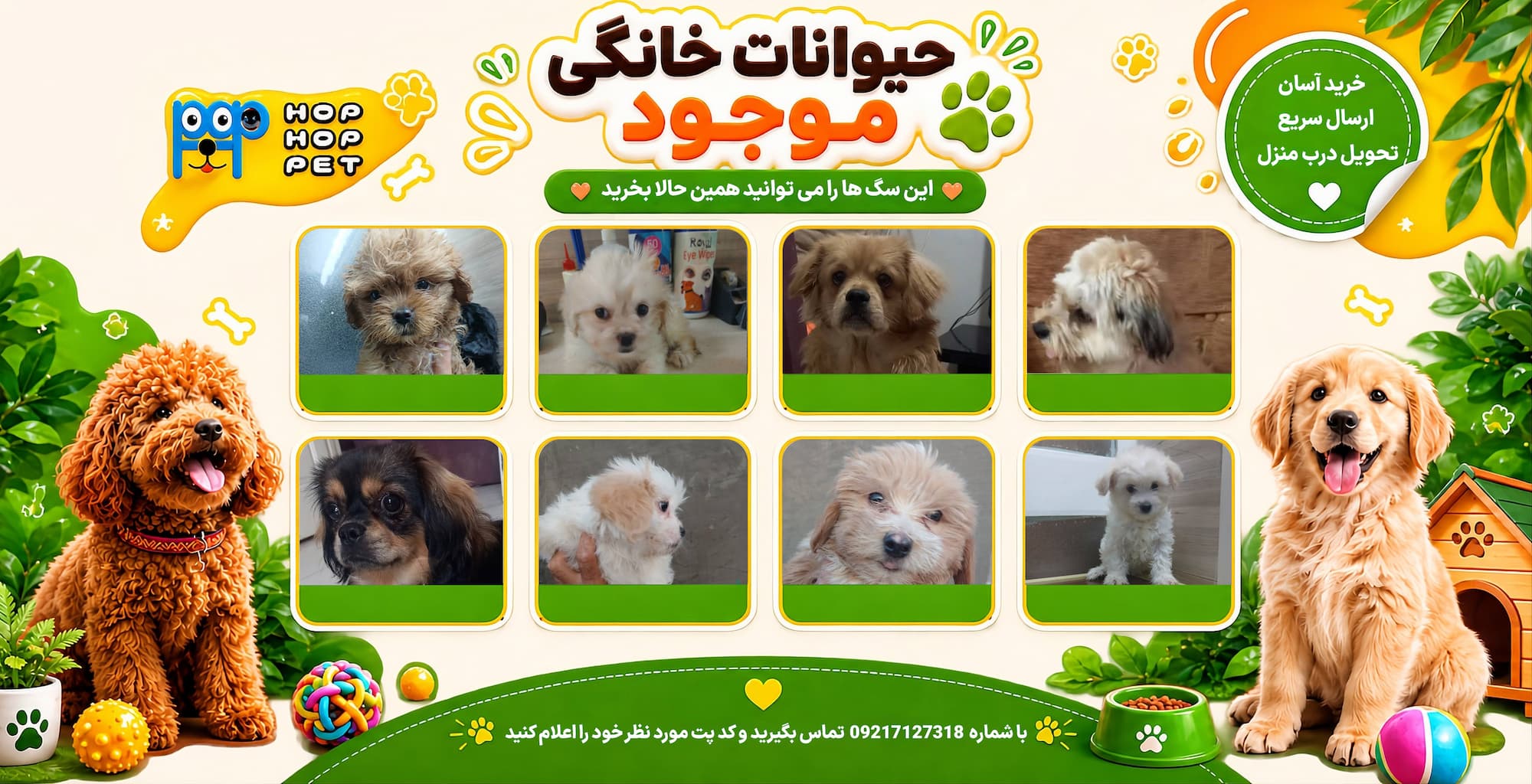 فروش سگ ارزان تحویل فوری تهران