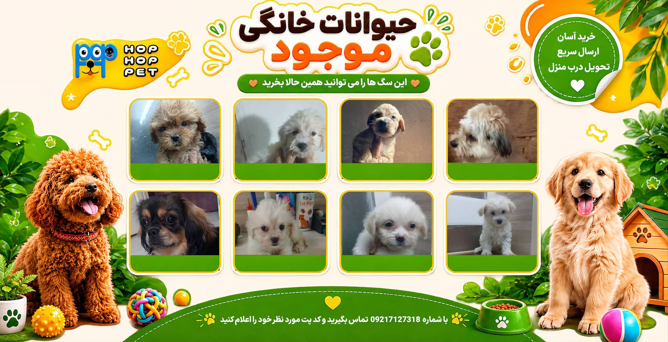 فروش سگ ارزان تحویل فوری